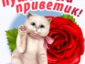 Мой пушистый привет