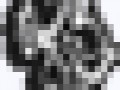 4_6_3