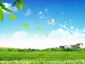 sunlight-birds-grass-sky-field-house-bubbles-grassland-meadow-plain-prairie-habitat-natural-environm