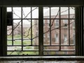 rain_hospital1_yapfiles