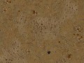 632.750