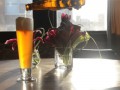 giphybeer6