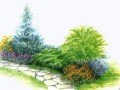 75111087_1_701879-min