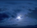 ww.nevsepic.com.ua-min