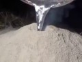 Что будет если в муравейник залить расплавленый алюминий