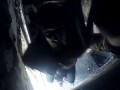 В челябинском такси устроили приключения для своих пассажиров Taxi entertained their passengers