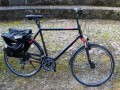 Staiger Louisiana AV13504968