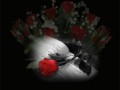 1_arnusha