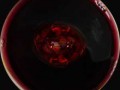 wein