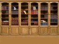 книжный шкаф 2