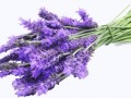 pngwing.com (6) (1)