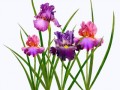 7c5cd09a56c9