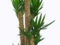 klipartz.com (10)