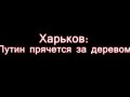 Харьков: "Путин прячется за деревом"