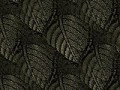 6_8