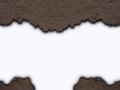 5a