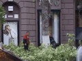 Fungif11_08