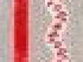 1_2_4