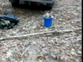 грыбочечечки бееелыя