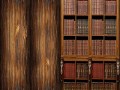 Шкаф с книгами 2