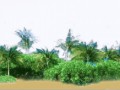 0_f5d11_8d75f052_orig[1]