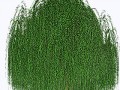 10452551_yapfiles.ru