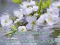 iWn48kpgQy5y6