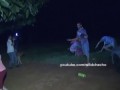 Paraguayan Family Fight