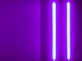 thviolbox