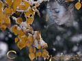 c первым снегом