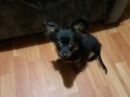 IMG-20191205-WA0000