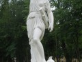 23.Нижний Голландский сад, Амазонка.