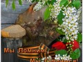 -имени-1_01