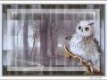 Silence - 3