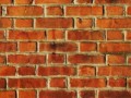 52f197ce7f5c81b0fc769be1e228ca3b_yapfiles.ru