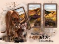 Nature - 2