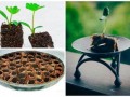 чайные пакетики