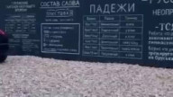 Забор знаний