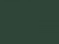 Зеленый мох	#2F4538	47	69	56