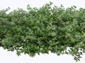 klipartz.com (31)