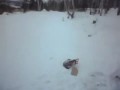 Труп пришельца в Бурятии