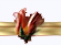 3__arnusha