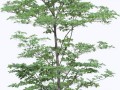 image1682235