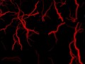 3suka_yapfiles.33_yapfiles.ru