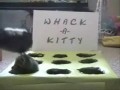 Whack-A-Kitty