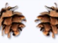 _5