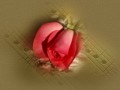 3__arnusha