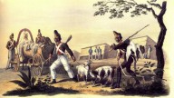 24.На биваке в Лиозне, 4 августа 1812 г.