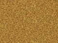 dirt_bright