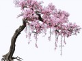 pngwing.com (53)